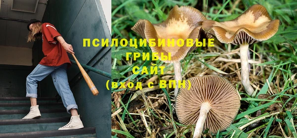 спайс Беломорск