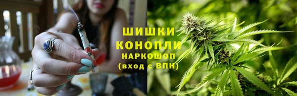 спайс Беломорск