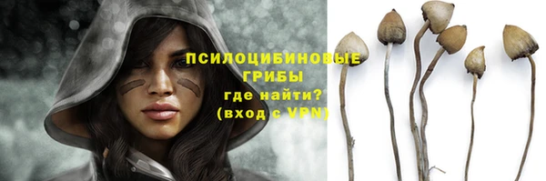молекула духа Белокуриха