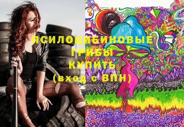 молекула духа Белокуриха