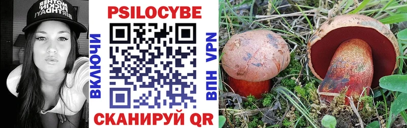 закладка  Первомайск  Псилоцибиновые грибы прущие грибы 